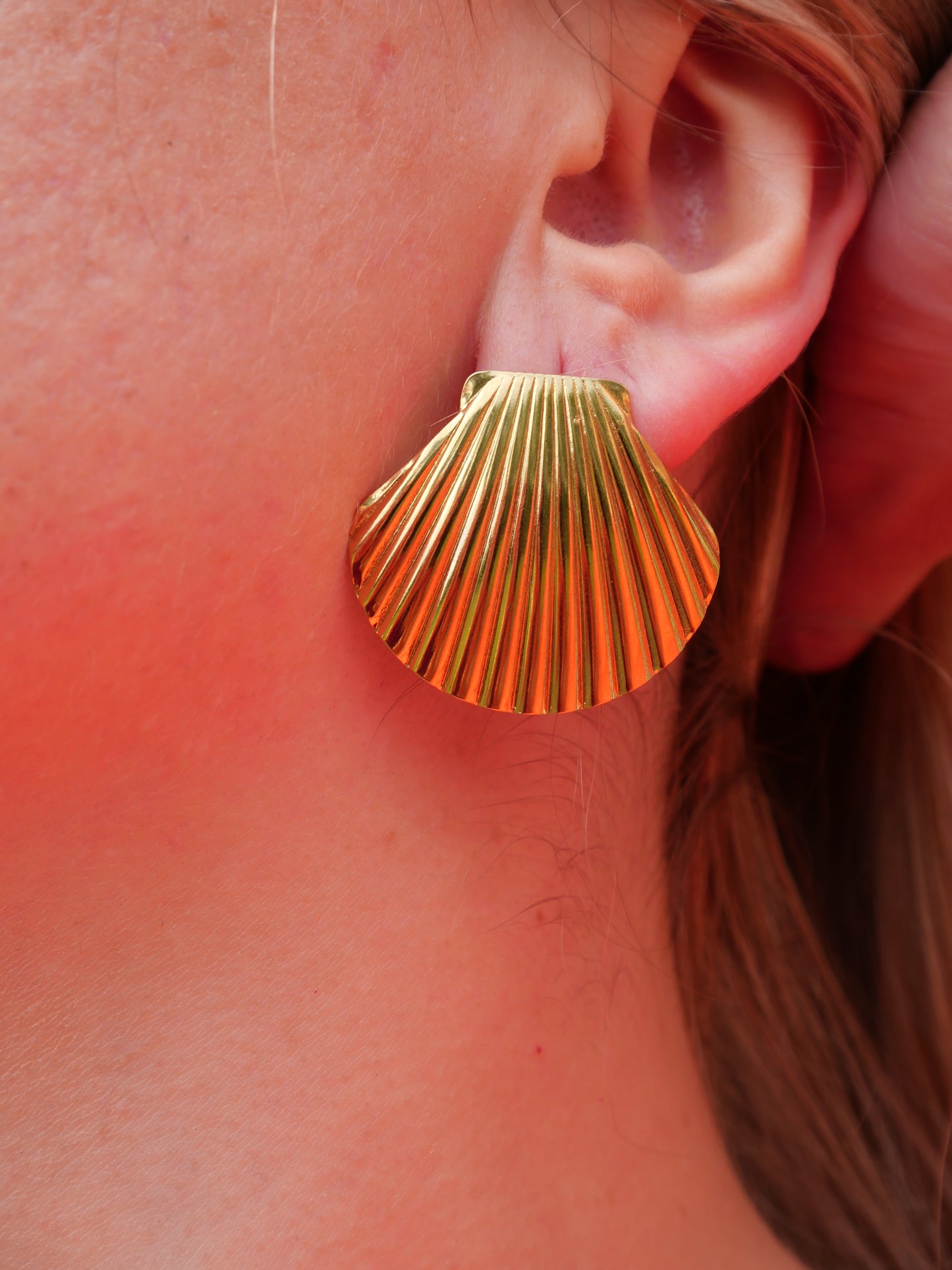Boucles d’oreilles Coquilles Saint-Jacques — Acier inoxydable