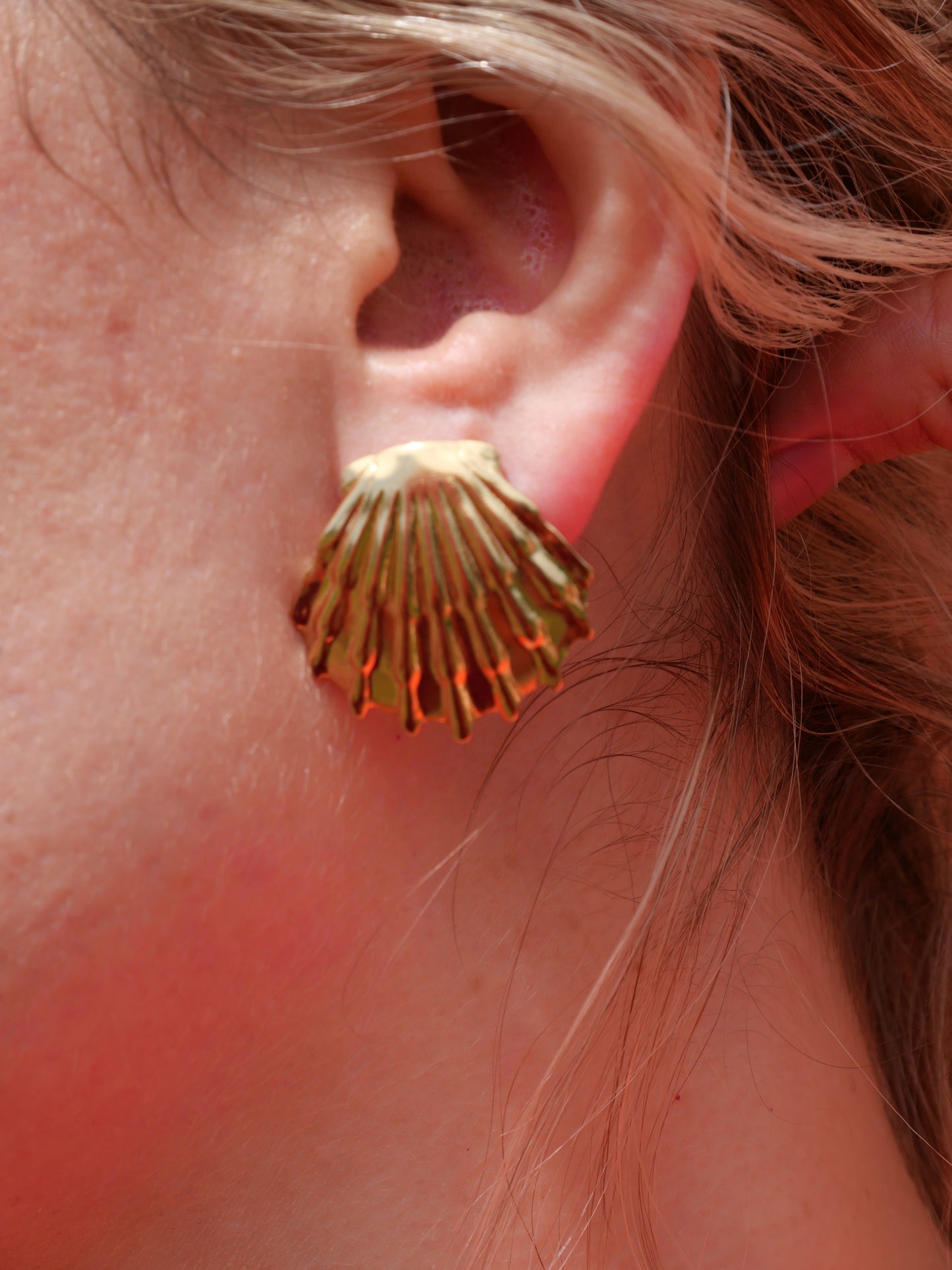 Boucles d’oreilles Coquille Saint-Jacques version 2 — Acier inoxydable