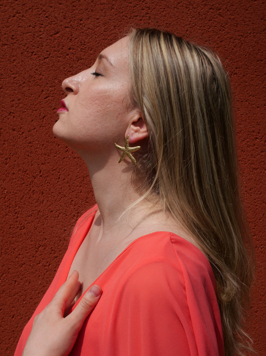 Boucles d’oreilles Étoiles de mer — Acier inoxydable