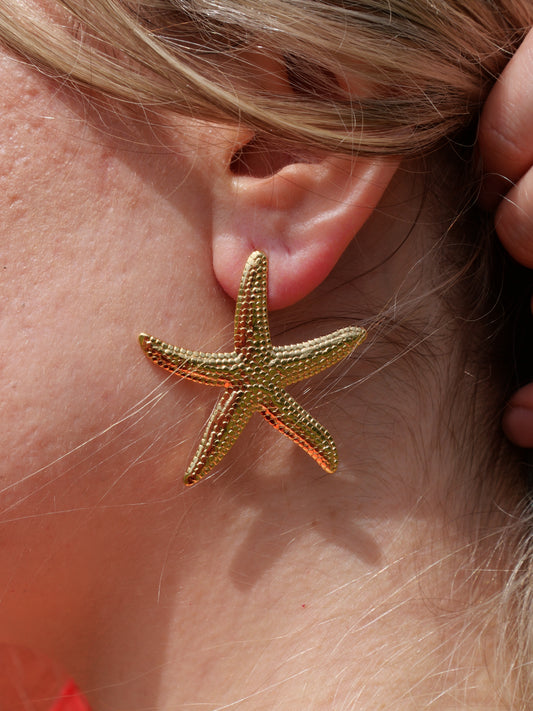 Boucles d’oreilles Étoiles de mer — Acier inoxydable