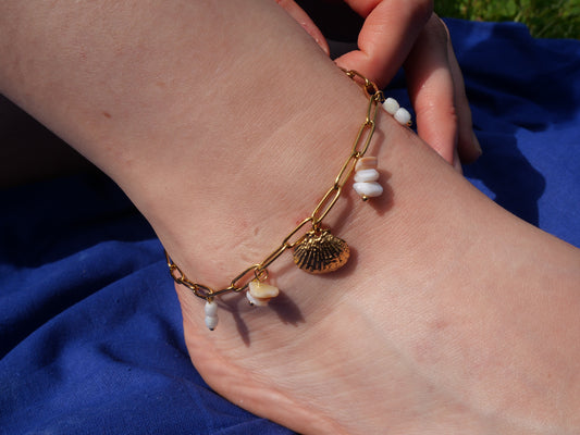 Bracelet de cheville Coquillage — Acier inoxydable