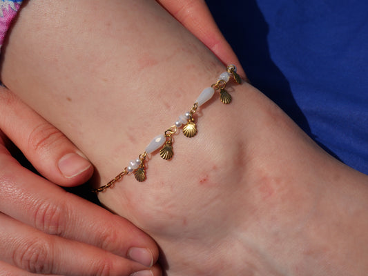 Bracelet de cheville Coquilles Saint-Jacques — Acier inoxydable